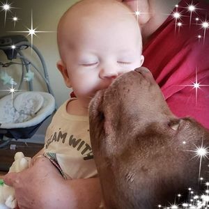 Meet your Posher, Dana